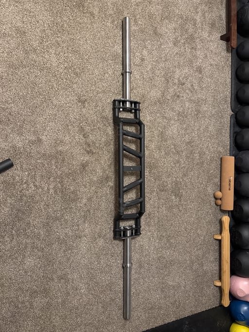 Swiss Cambered Bar
